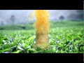 Mirai Ocha Launch 30sec