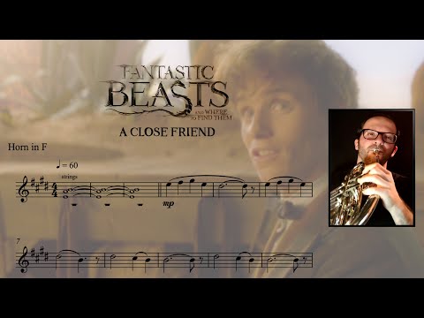 Fantastic Beasts - A Close Friend || French Horn Cover