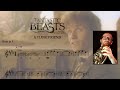 Fantastic Beasts - A Close Friend || French Horn Cover