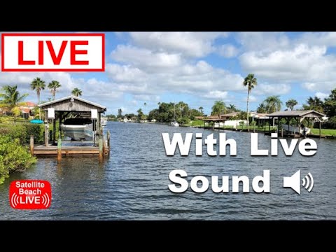 🔴 LIVE Florida Cam: Satellite Beach Grand Canal Live Cam #satellitebeach #livecamera #florida