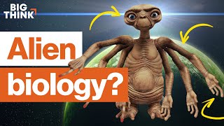 The biology of aliens: How much do we know? | Michio Kaku, E.O. Wilson, & more | Big Think