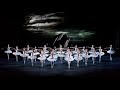 Swan Lake Trailer The Royal Ballet
