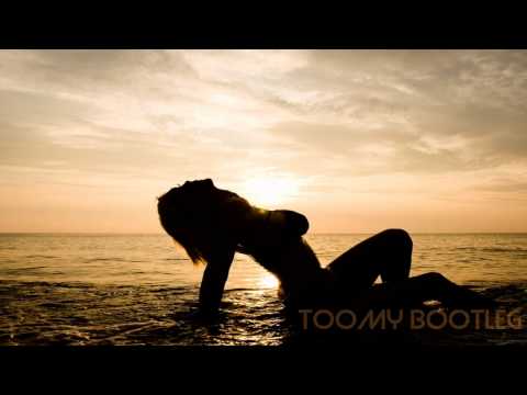 Avicii Vs. Pryda & Empire of the sun - We are people of last dance (ToomY Bootleg)