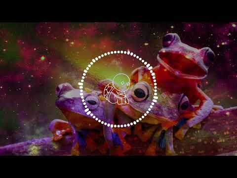 Tamer Kaan - Young And Free