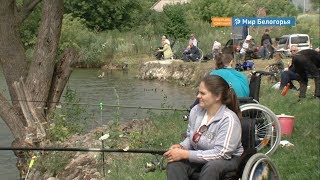 Ссылка