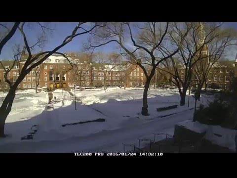 Winter Storm Jonas at Brooklyn College