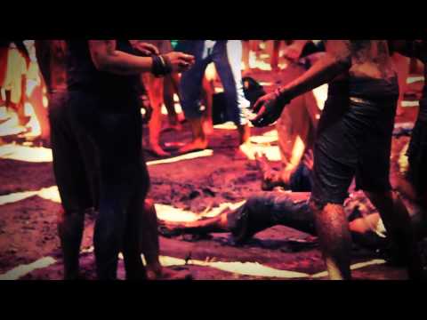 Alien Safari - Flying Circus 2010