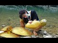 Uncover the mystery of treasure! The girl discovered a giant golden clam with charming pearls inside