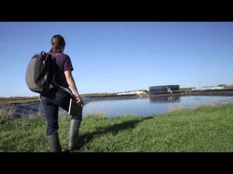 Manitoba Pork - Customer Success Story