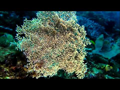 Andy Moor & Jessica Sweetman - In Your Arms