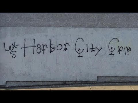 Young Woman Killed by Harbor City Crips