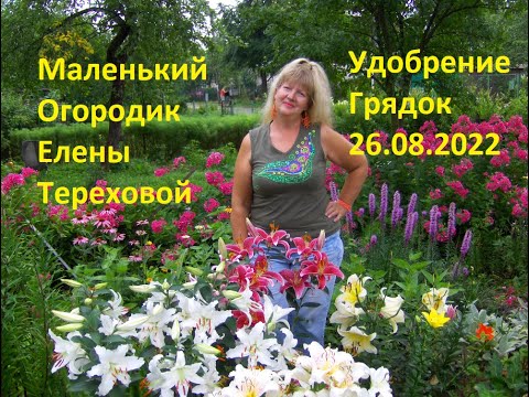 Маленький Огородик Елены Тереховой -  Удобрение Грядок 26.08.2022