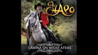 El Chapo De Sinaloa - Camina Sin Mirar Atras
