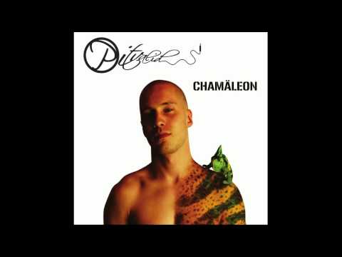 Pitvalid - Chamäleon