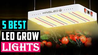 Top 5 Best LED Grow Lights in 2026