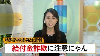 ５月29日 びわ湖放送ニュース