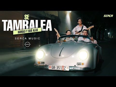 Harold y Sus Alas - Se Tambalea  ( Video Oficial )