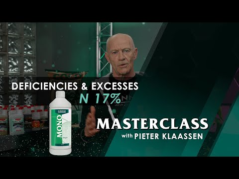 CANNA Masterclass – Deficiencies and Excesses: Nitrogen
