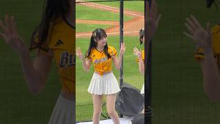 【Passion Sisters】練習生#衣宸#瑄#芊芊#儀諪#完美好球三振他#台湾チアリーディングチーム#中華職棒#CPBL#樂天桃園球場#20241110（12強熱身賽）