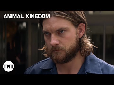 Animal Kingdom: A Cody house fight - Season 5, Episode 8 [CLIP] | TNT