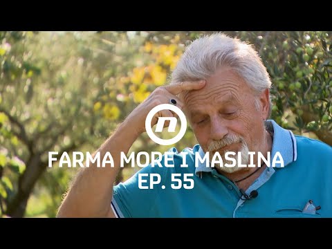 Mimi se oprašta od farmera - Epizoda 55 | Farma More i Maslina