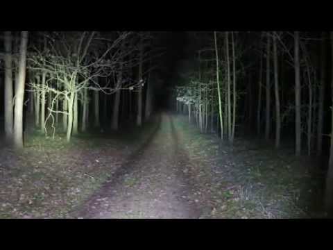 NiteCore Tiny Monster TM06 Review - Deutsch