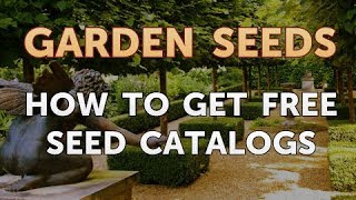 How to Get Free Seed Catalogs