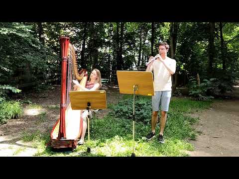Bach: Siciliano for oboe and harp / Filip Lenart - oboe, Oktawia Bylicka - harp