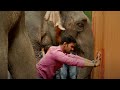 देखिये कैसे हाथियोंने की Sreenivas Bellamkonda की मदत | South Indian