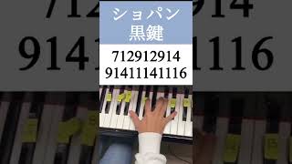 Download lagu 【ピアノ】音大卒が教える!簡単に弾けるショパンの黒鍵 #ピアノ #ショパン mp3 Download lagu 【ピアノ】音大卒が教える!簡単に弾けるショパンの黒鍵 #ピアノ #ショパン mp3