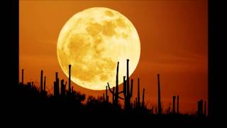 Flor D'Luna (Moonflower)