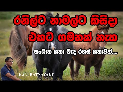 රනිල්ට නාමල්ට කිසිදා එකට ගමනක් නැත, සංධාන කතා මැද රහස් කතාවක්....  -  KCJ Ratnayake