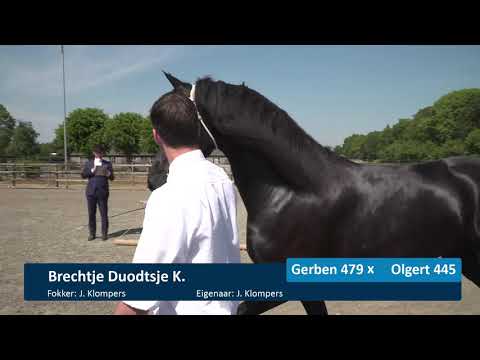 Locatiekeuring Trainingsstal Chantal van Dijk 7-5-2020