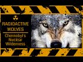 Mutant Wolves Of Chernobyl - Radioactive ...