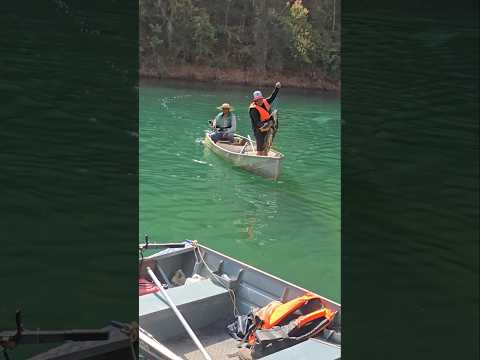 BARRAGEM DE BURITINOPOLIS GOIÁS PESCARIA DE TUCUNARÉ #lago #pesca #peixes
