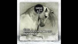 GusGus - Arabian Horse (Arina Mur Edit)