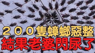 200隻蟑螂惡整老婆，結果竟然閃尿！ 