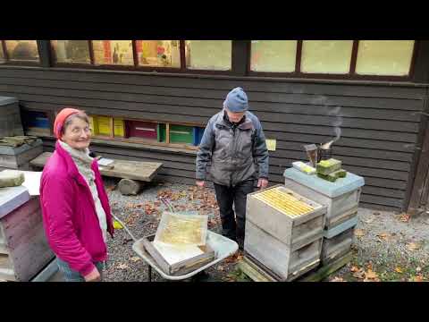 Gemeinsam Teilen und Behandeln 4 - Live von Pias Bienenstand - 7.11.