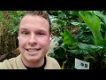 Adopteer een dier van Almere Jungle