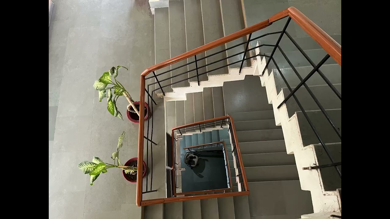 watch-tv