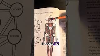 The Order of Manifestation | The Kabbalistic Tree of Life 🌳✨ #spiritualawakening #manifestation