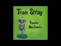 Team Stray - Popular Mechanics FULL ALBUM | Ohio Punk Rock