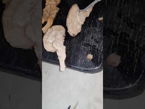 The medial surface of the Ovine CEREBRAL HEMISPHERE