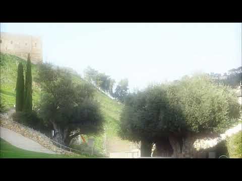 Virtual House Church 2023 - Vayakhel