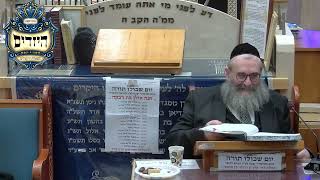 הרב יהושע ויזגן מסכת חולין דף ס עמוד ב (בית הכנסת מוסאיוף) - התמונה מוצגת ישירות מתוך אתר האינטרנט יוטיוב. זכויות היוצרים בתמונה שייכות ליוצרה. קישור קרדיט למקור התוכן נמצא בתוך דף הסרטון