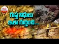 గుప్త నిధులు ఇలా గుర్తించి Where Do We Find Gupta Nidh