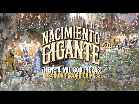 Este es el NACIMIENTO MÁS GRANDE DE ZACATECAS y busca un RÉCORD GUINNESS 🌟