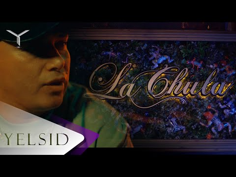 Miniatura de La buena Pal DJ