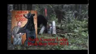 preview picture of video 'North Country Lodge Black Bear Hunt 2014'