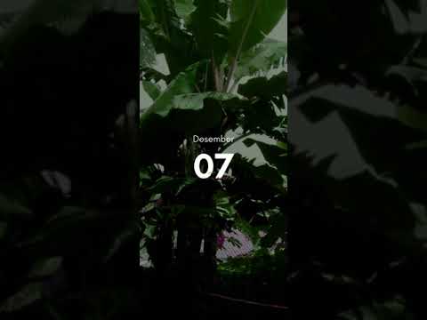 Rain(du)  #rain #aesthetic  #efek